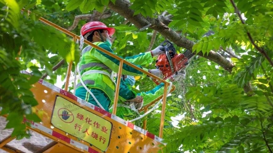 户外树木园林景观设计方案