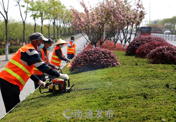 珠海花园园林绿化工程资料
